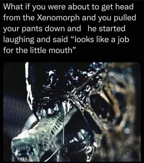 xenomorph rule 34|Rule 34 / xenomorph big.